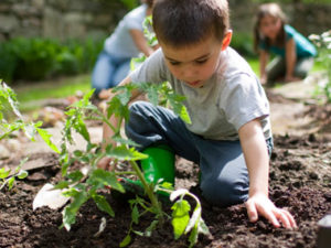 Jumpstart_Gardening.